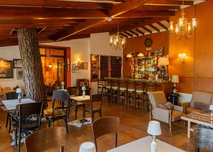 Hotel New Helvetia Historic Platres