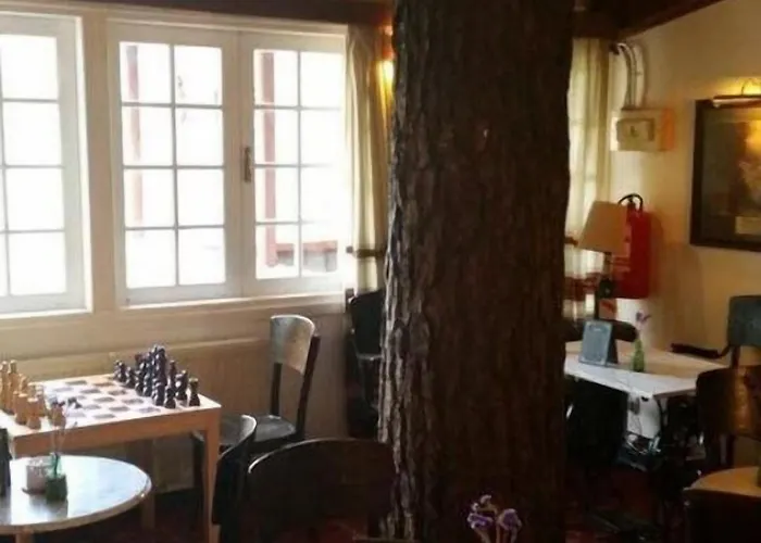 Hotel New Helvetia Historic 3*