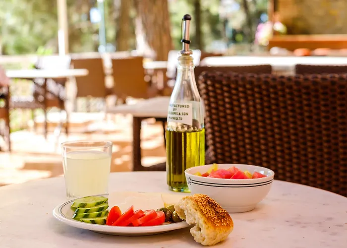 New Helvetia Historic