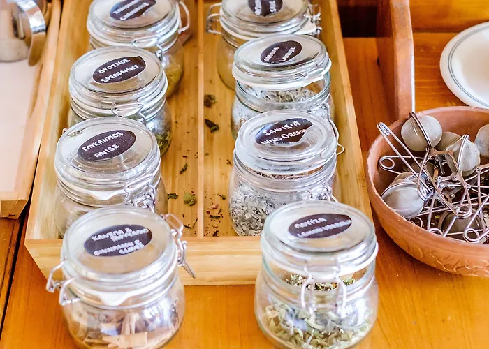 New Helvetia Historic Platres