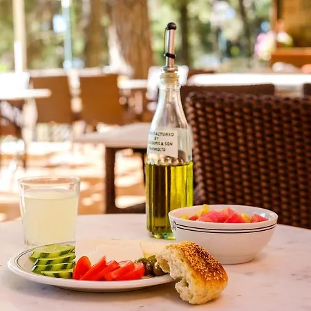 νέα ελβετία 3* Πλάτρες
