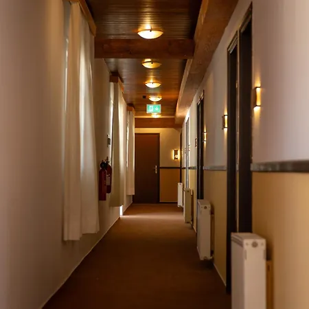 Hotel New Helvetia Historic Platres