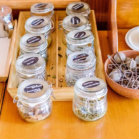 New Helvetia Historic Platres