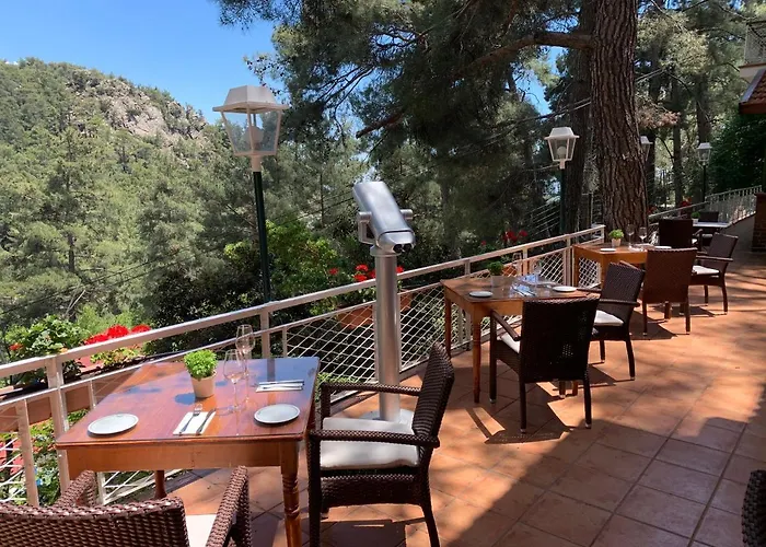 New Helvetia Historic 3*