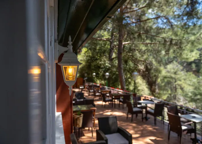 New Helvetia Historic 3*