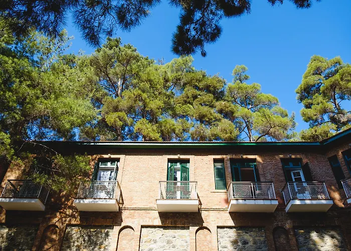 New Helvetia Historic 3*