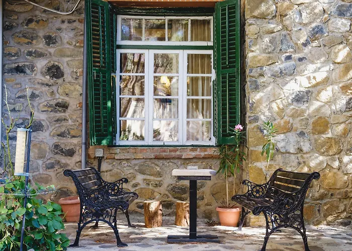 New Helvetia Historic Platres